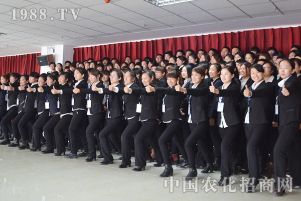 2015������