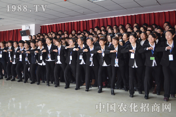 �𱬾W(w��ng)����һ����(chu��ng)���������E�ľW(w��ng)�j(lu��)Ⱥ