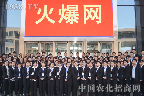 團(tuán)隊不是靠人多,而是靠心齊